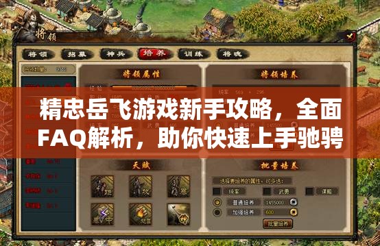 精忠岳飞游戏新手攻略，全面FAQ解析，助你快速上手驰骋历史沙场