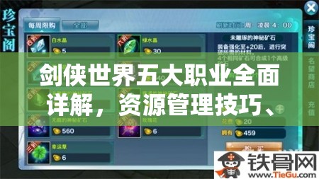 剑侠世界五大职业全面详解，资源管理技巧、高效利用策略及最大化价值探索
