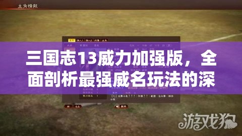 三国志13威力加强版，全面剖析最强威名玩法的深度策略与技巧揭秘