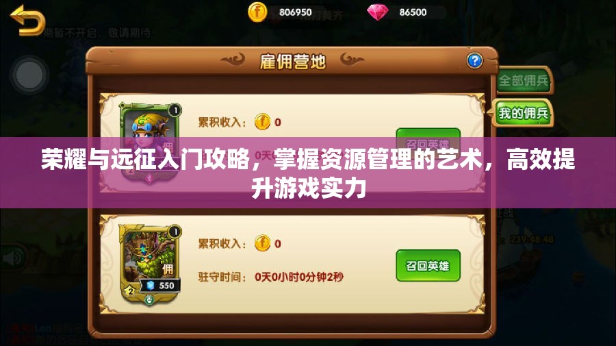 荣耀与远征入门攻略，掌握资源管理的艺术，高效提升游戏实力
