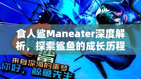 食人鲨Maneater深度解析，探索鲨鱼的成长历程与成熟之路的奥秘