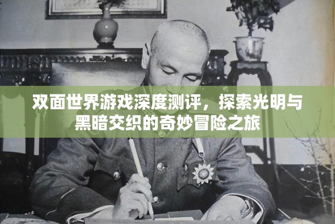 双面世界游戏深度测评，探索光明与黑暗交织的奇妙冒险之旅