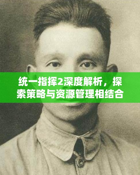 统一指挥2深度解析，探索策略与资源管理相结合的特色玩法艺术