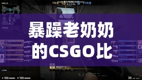 暴躁老奶奶的CSGO比赛：激烈对决精彩瞬间全记录