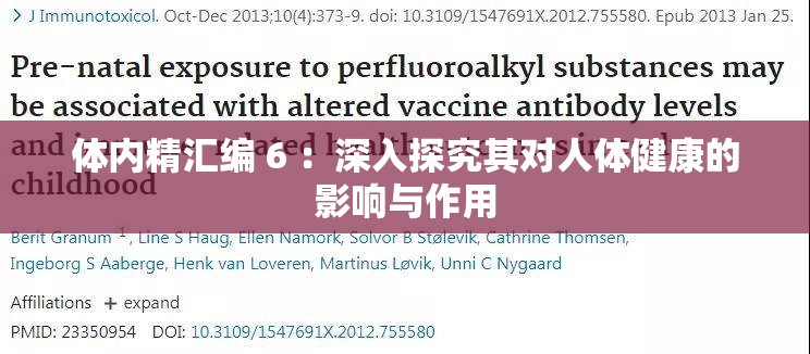 体内精汇编 6 ：深入探究其对人体健康的影响与作用