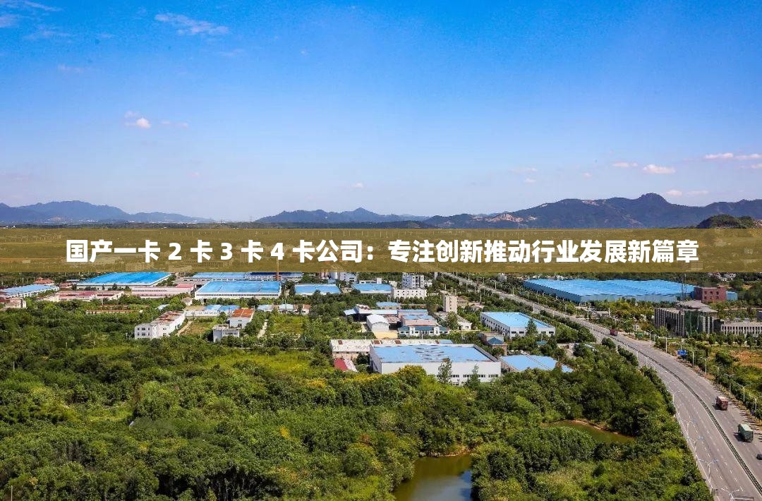 国产一卡 2 卡 3 卡 4 卡公司：专注创新推动行业发展新篇章