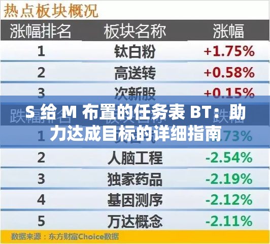 S 给 M 布置的任务表 BT：助力达成目标的详细指南