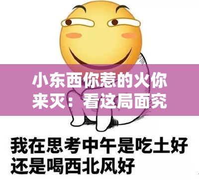 小东西你惹的火你来灭：看这局面究竟如何收场