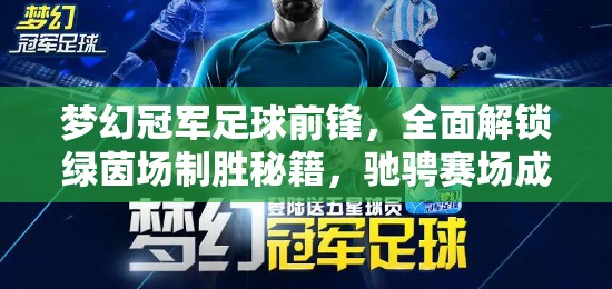 梦幻冠军足球前锋，全面解锁绿茵场制胜秘籍，驰骋赛场成就足球传奇