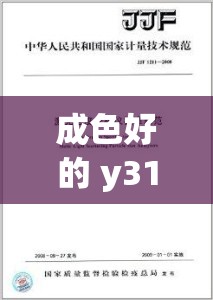成色好的 y31s 标准版人民网：带你领略卓越品质的魅力