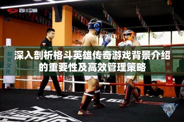 深入剖析格斗英雄传奇游戏背景介绍的重要性及高效管理策略