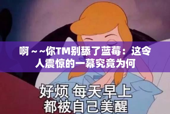 啊～~你TM别舔了蓝莓：这令人震惊的一幕究竟为何