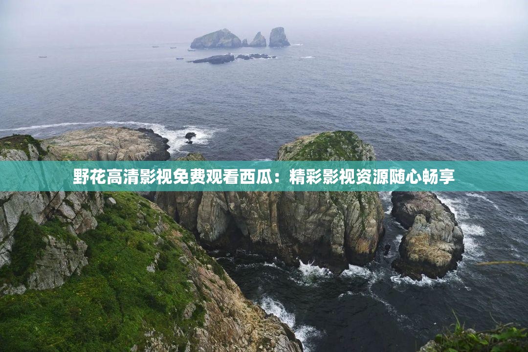 野花高清影视免费观看西瓜：精彩影视资源随心畅享