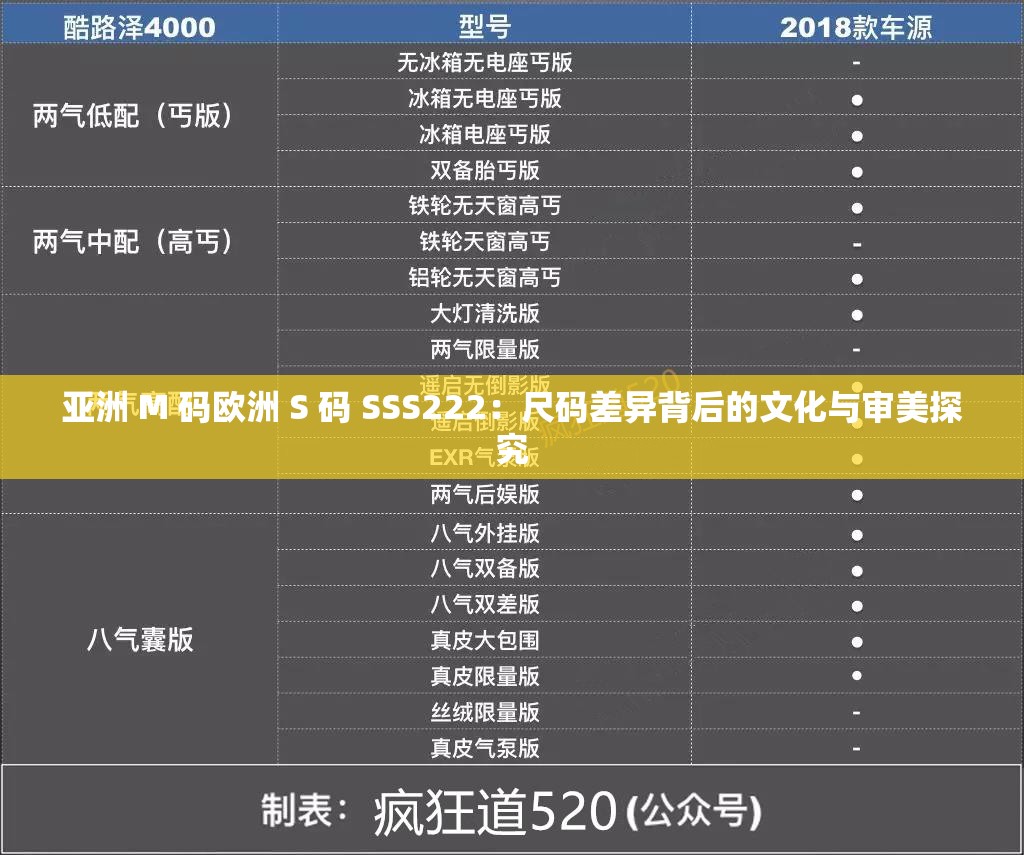 亚洲 M 码欧洲 S 码 SSS222：尺码差异背后的文化与审美探究