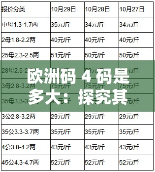 欧洲码 4 码是多大：探究其对应的尺寸详情