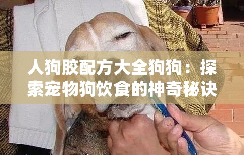 人狗胶配方大全狗狗：探索宠物狗饮食的神奇秘诀