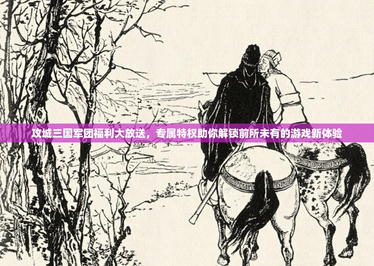 攻城三国军团福利大放送，专属特权助你解锁前所未有的游戏新体验