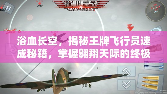 浴血长空，揭秘王牌飞行员速成秘籍，掌握翱翔天际的终极飞行奥义