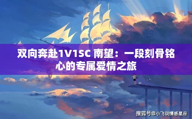 双向奔赴1V1SC 南望：一段刻骨铭心的专属爱情之旅