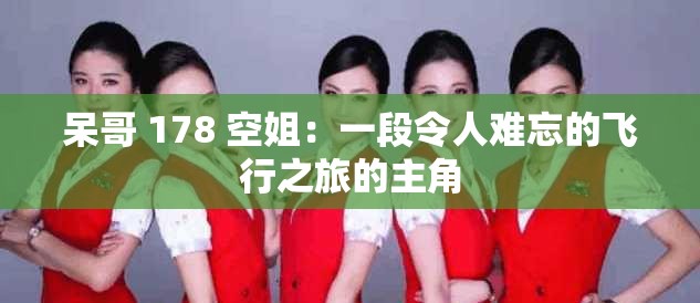 呆哥 178 空姐：一段令人难忘的飞行之旅的主角