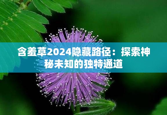 含羞草2024隐藏路径：探索神秘未知的独特通道