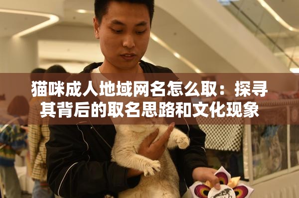 猫咪成人地域网名怎么取：探寻其背后的取名思路和文化现象