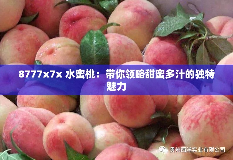 8777x7x 水蜜桃：带你领略甜蜜多汁的独特魅力
