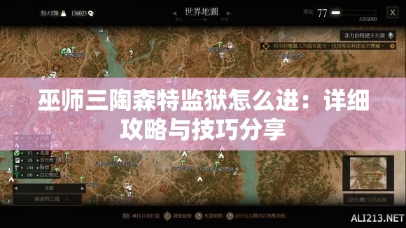 巫师三陶森特监狱怎么进：详细攻略与技巧分享