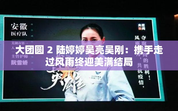 大团圆 2 陆婷婷吴亮吴刚：携手走过风雨终迎美满结局