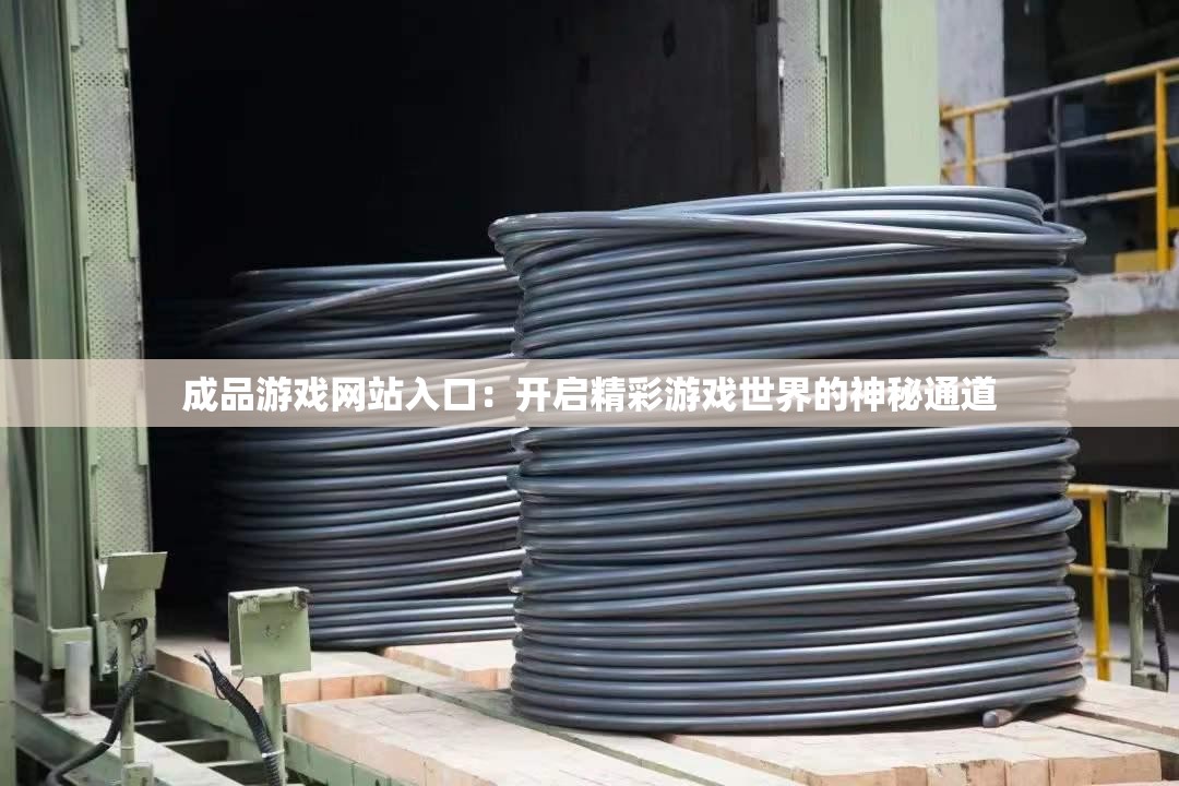 成品游戏网站入口：开启精彩游戏世界的神秘通道