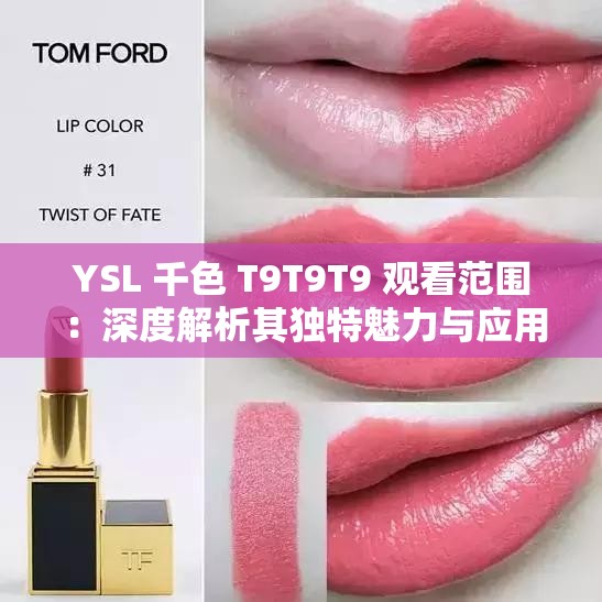 YSL 千色 T9T9T9 观看范围 ：深度解析其独特魅力与应用场景