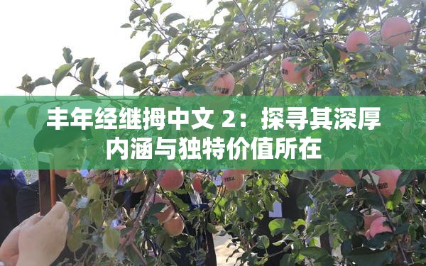 丰年经继拇中文 2：探寻其深厚内涵与独特价值所在