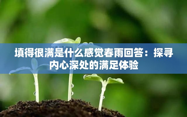 填得很满是什么感觉春雨回答：探寻内心深处的满足体验