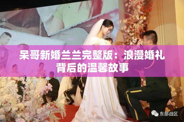 呆哥新婚兰兰完整版：浪漫婚礼背后的温馨故事