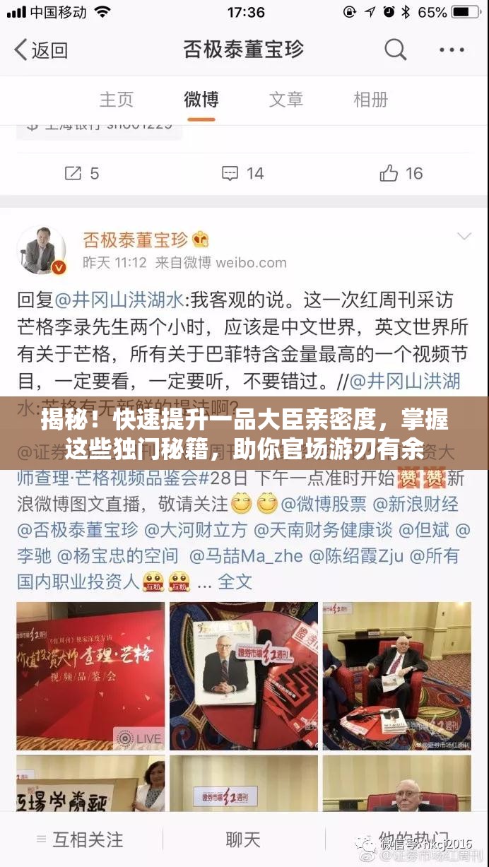 揭秘！快速提升一品大臣亲密度，掌握这些独门秘籍，助你官场游刃有余