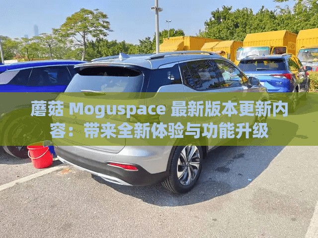 蘑菇 Moguspace 最新版本更新内容：带来全新体验与功能升级