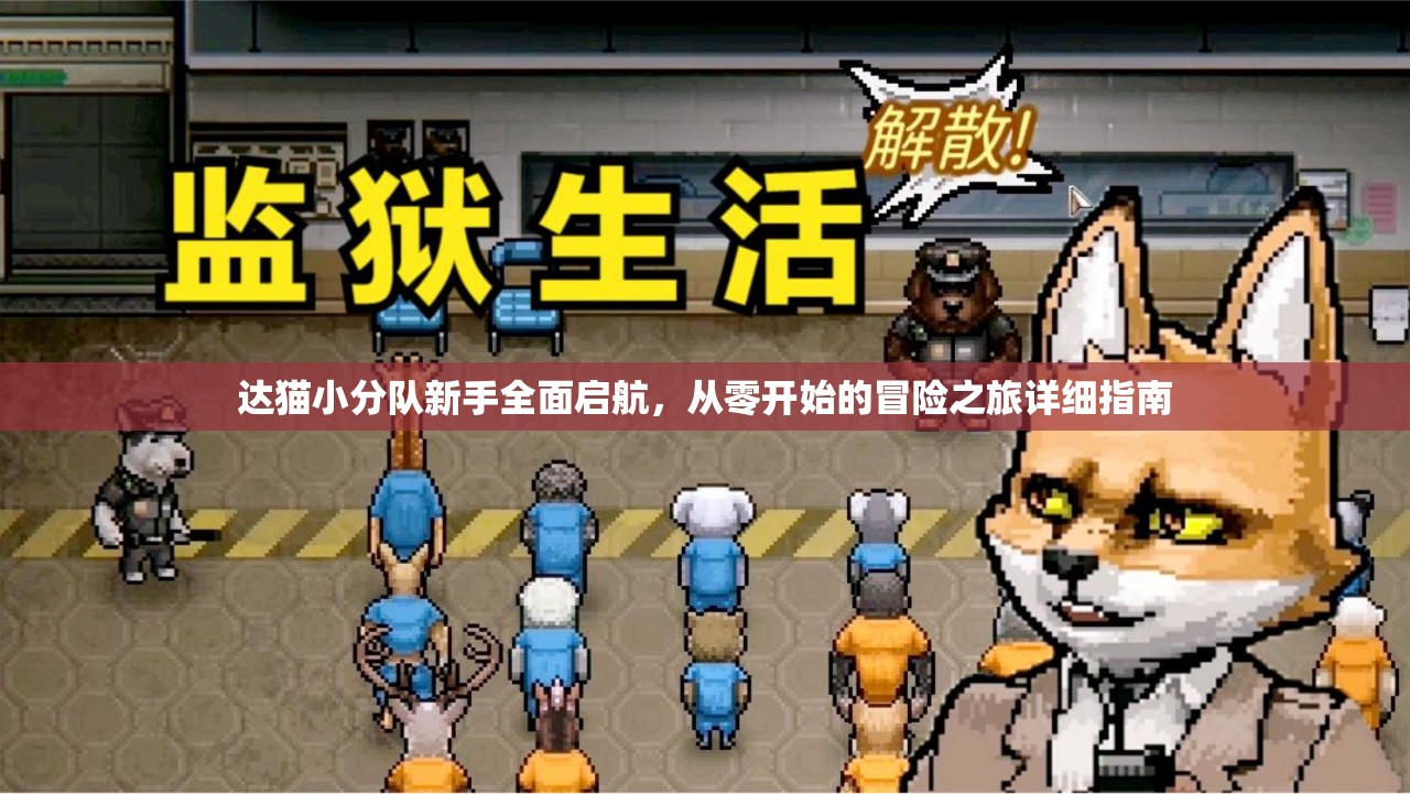 达猫小分队新手全面启航，从零开始的冒险之旅详细指南