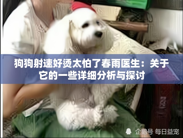 狗狗射速好烫太怕了春雨医生：关于它的一些详细分析与探讨