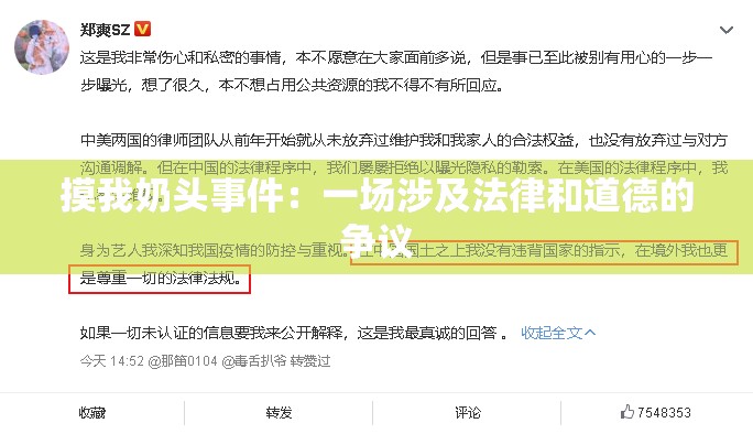 摸我奶头事件：一场涉及法律和道德的争议