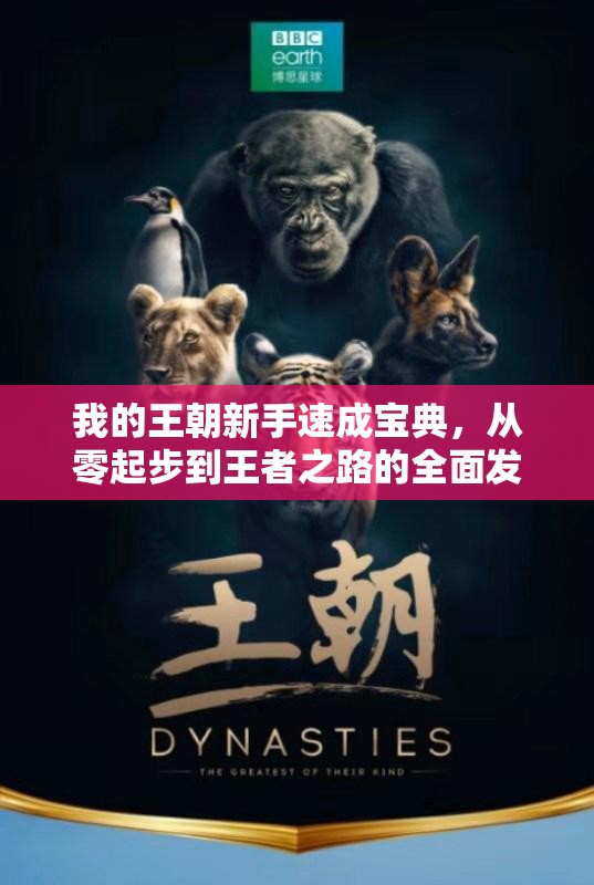 我的王朝新手速成宝典，从零起步到王者之路的全面发展攻略