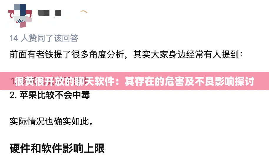 很黄很开放的聊天软件：其存在的危害及不良影响探讨