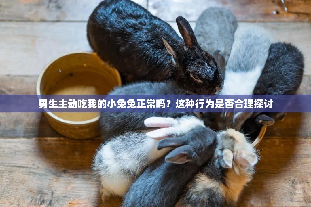 男生主动吃我的小兔兔正常吗？这种行为是否合理探讨
