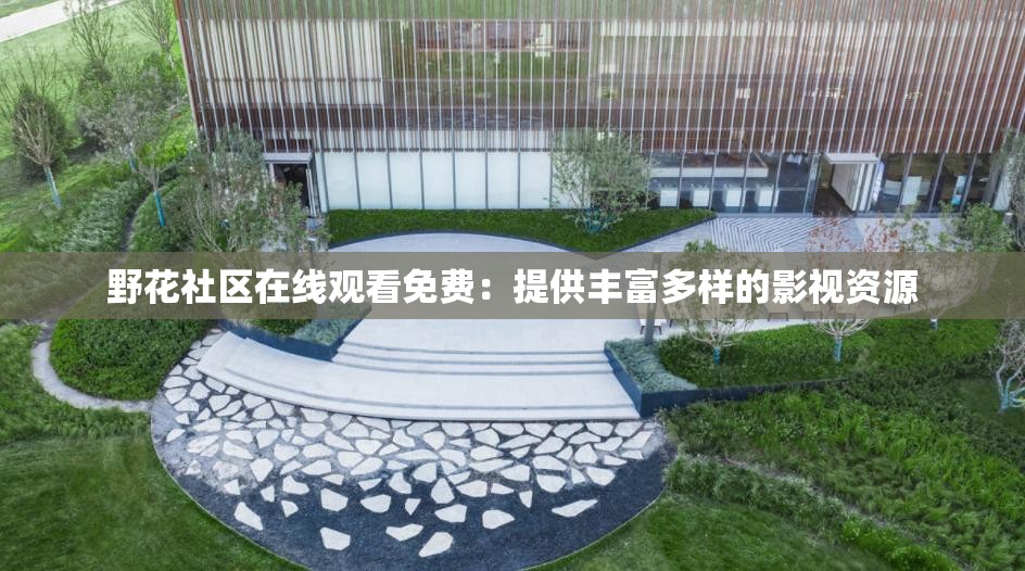 野花社区在线观看免费：提供丰富多样的影视资源