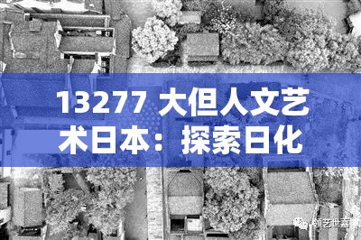 13277 大但人文艺术日本：探索日化的另一面