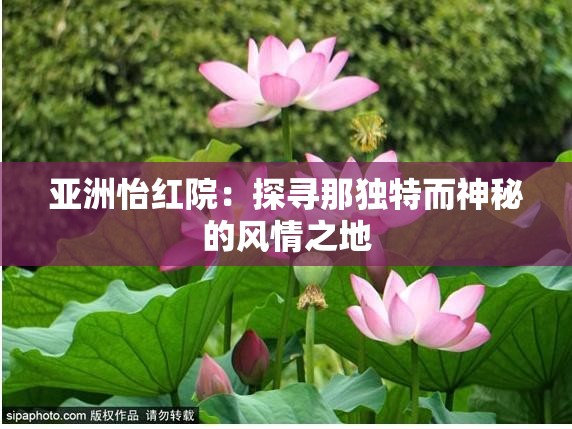 亚洲怡红院：探寻那独特而神秘的风情之地
