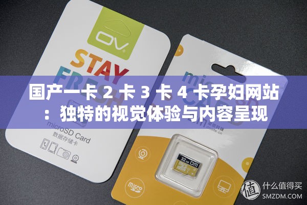 国产一卡 2 卡 3 卡 4 卡孕妇网站：独特的视觉体验与内容呈现