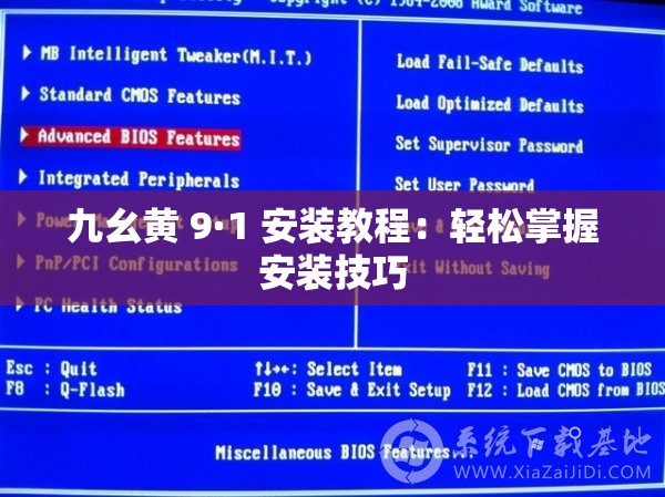 九幺黄 9·1 安装教程：轻松掌握安装技巧