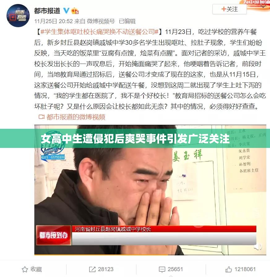 女高中生遭侵犯后爽哭事件引发广泛关注