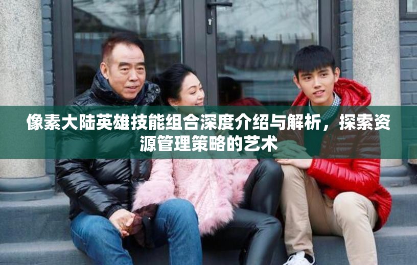 像素大陆英雄技能组合深度介绍与解析，探索资源管理策略的艺术