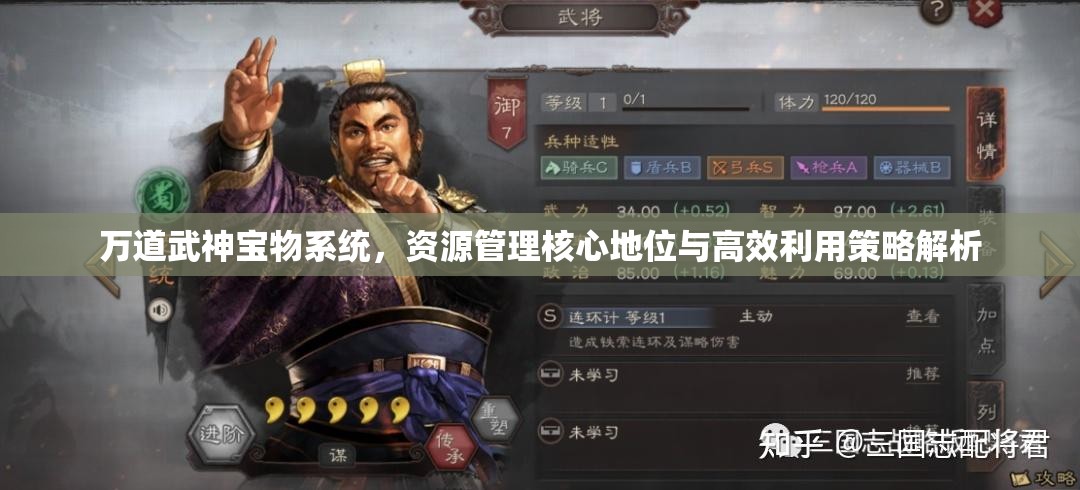 万道武神宝物系统，资源管理核心地位与高效利用策略解析